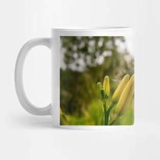 blb double day lilies Mug